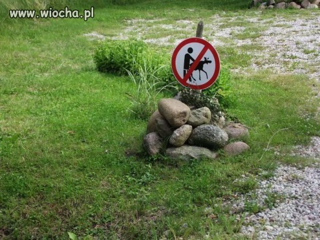 Nie ruchaj łosicy 