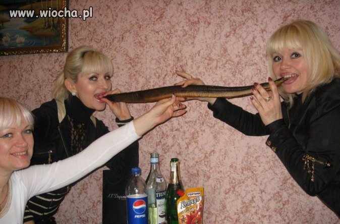 Fotka na węgorza