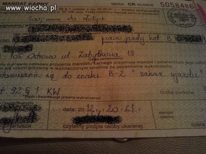Polska Policja