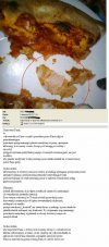 Pizza Dominium z plastrem