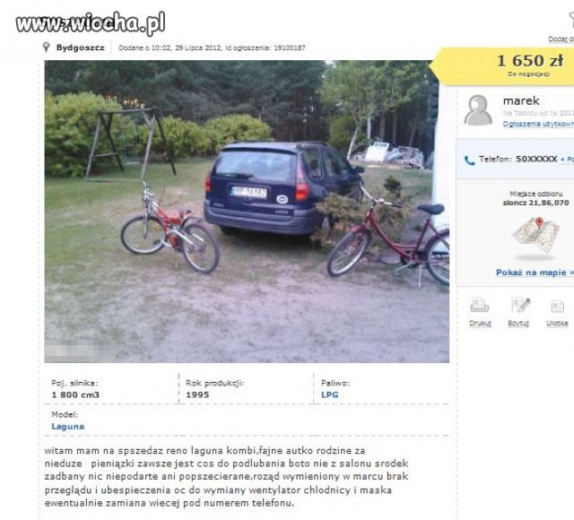 Mistrz ortografii sprzeda reno