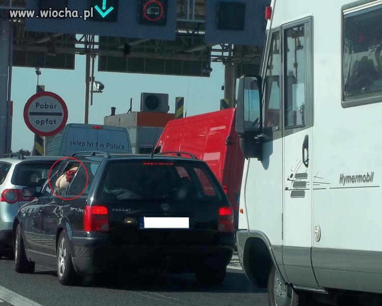 Polskie drogi