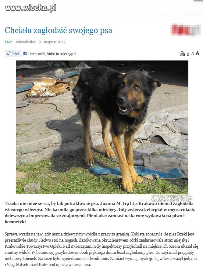 Brak słów