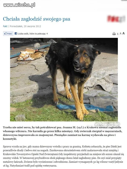 Brak słów