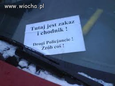 Proźba do służb porzadkowych 