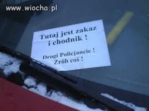 Proźba do służb porzadkowych 