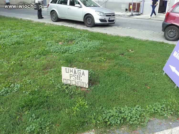 Ostrzegają zamiast posprzątać!