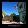 Hahaha ładnie Potter przypakował 