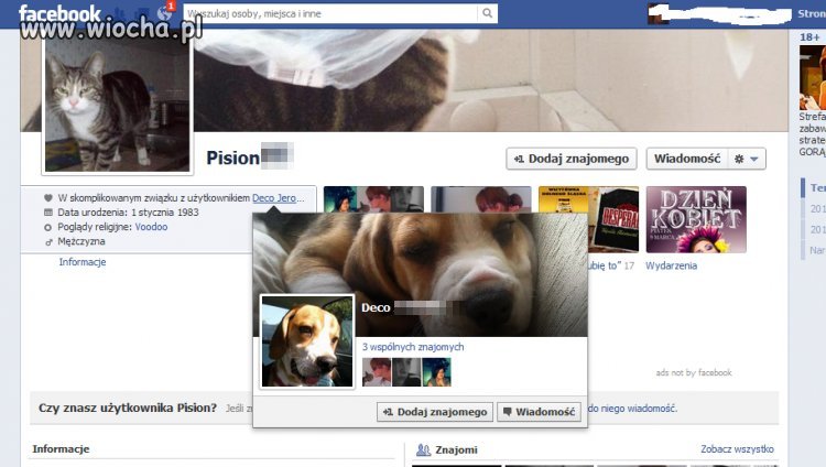 Nawet zwierzęta na fb mają skomplikowane związki
