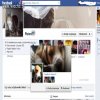 Nawet zwierzęta na fb mają skomplikowane związki