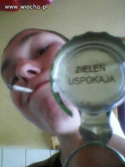 Lans na zioło