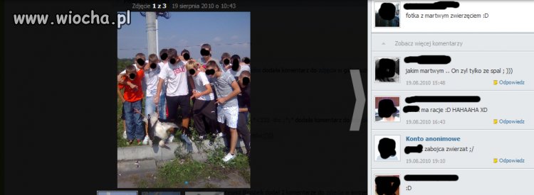 Mam pomysł jak zabłysnąć w internecie...