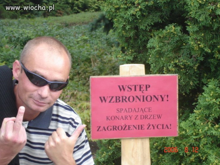 Lans na spadające konary.