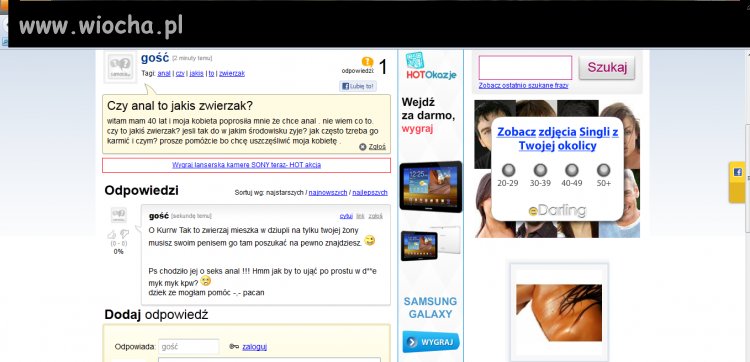 Czy anal to zwierzak?