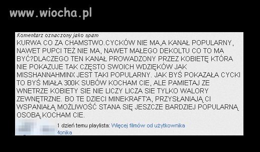 Komentarz znaleziony przypadkowo...