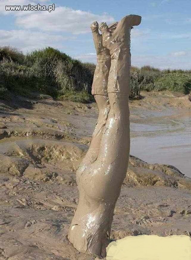 Schowała głowę jak struś w piasek ...