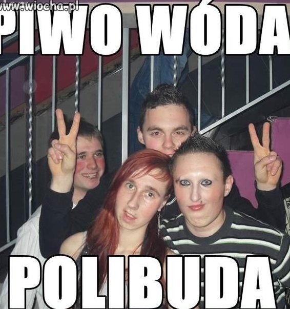 Piwo wóda polibuda 