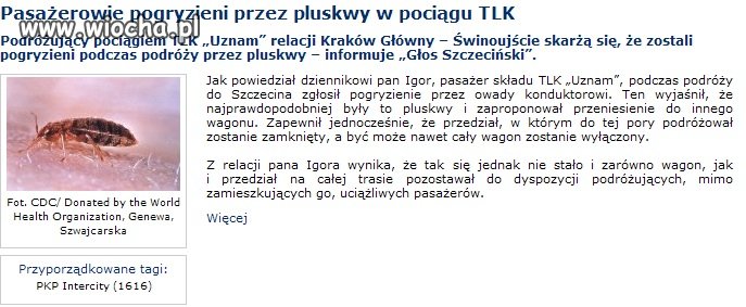 PKP Intercity