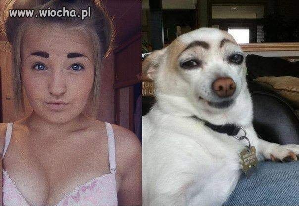 Znajdź trzy różnice