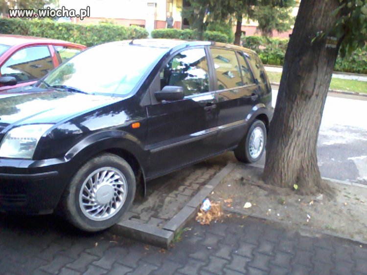 Mistrz parkowania 