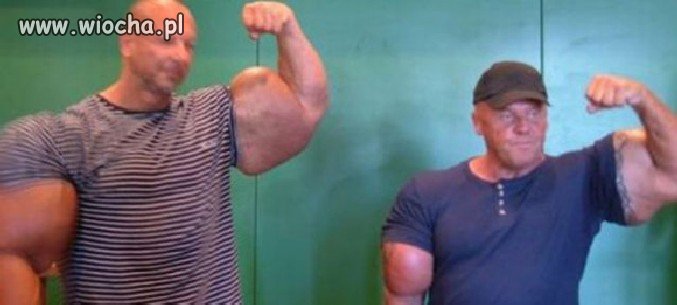 Synthol