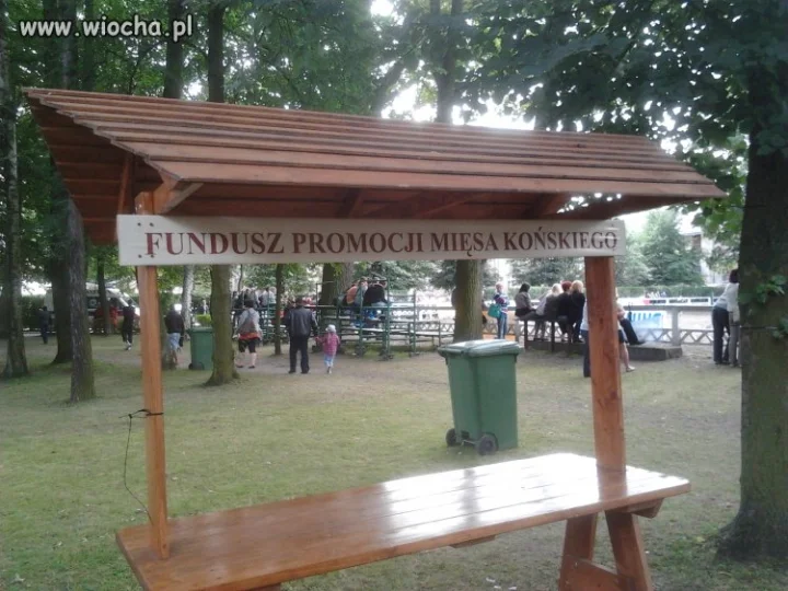Na pokazach konnych