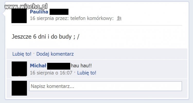 Do budy burku! 