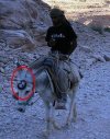 Bmw czyli bardzo mały wóz