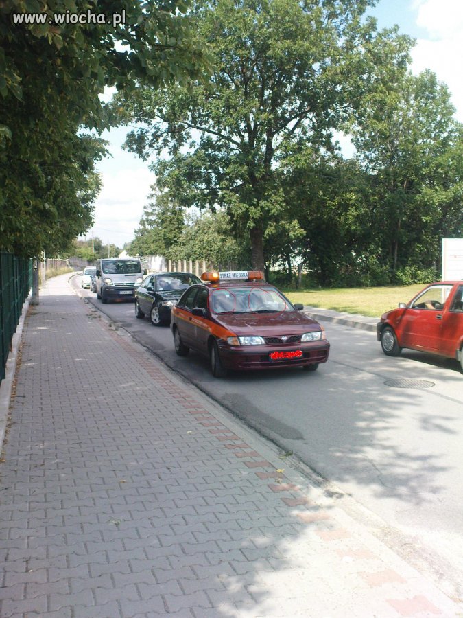 Straż miejska WŁOSZCZOWA