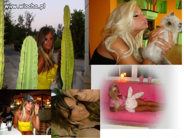 Plastik 100%