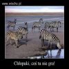 Jak zespół przegrywa  to...