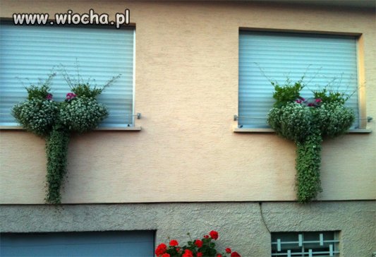 Takie tam zwisy