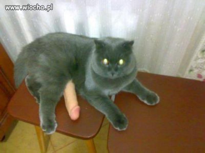 Miałłł daj mi mleko 