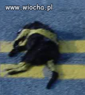 Takie tam z drogowcami