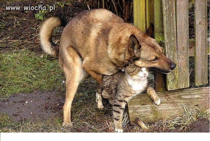 Takie tam ...