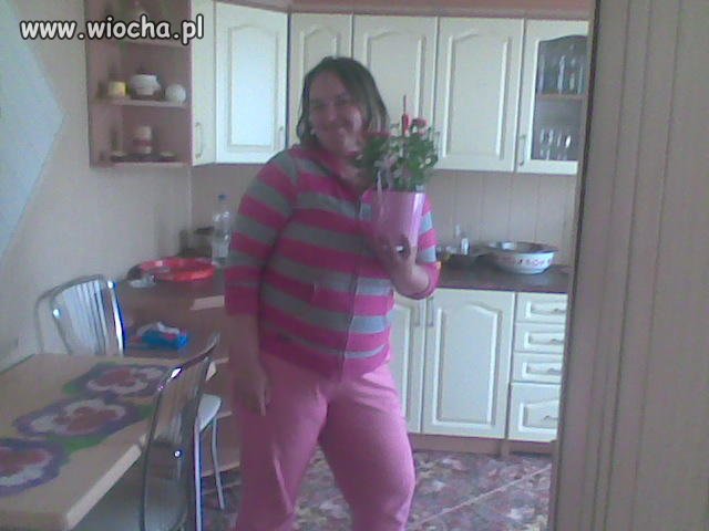 Pink and Flowers