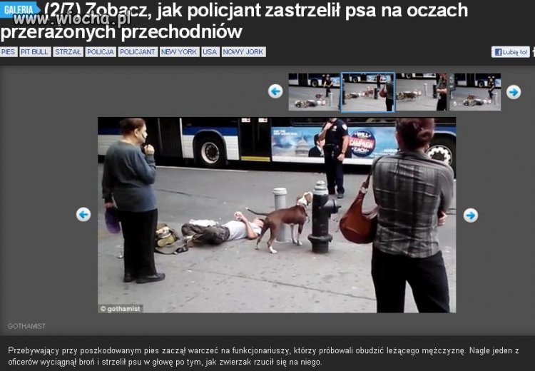Wiocha czy nie wiocha?