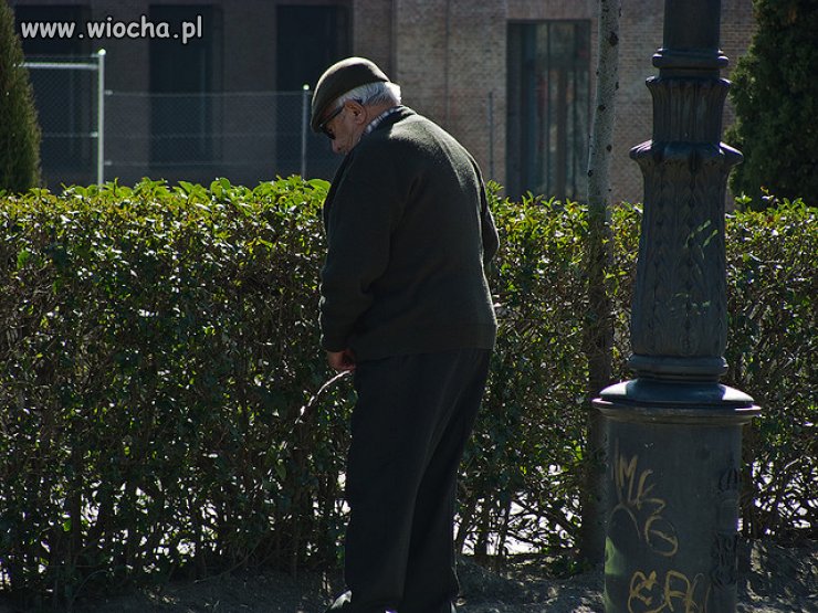 Nawożenie Naturalne ...
