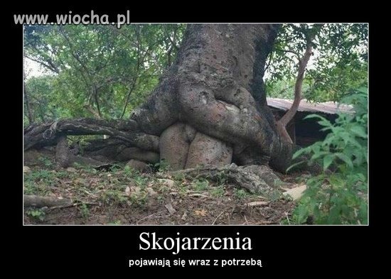 Opis zbędny
