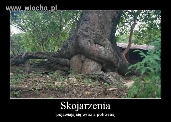 Opis zbędny