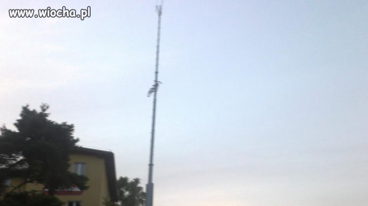 Rower na antenie satelitarnej