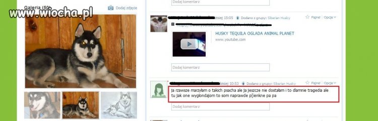 Ortografia