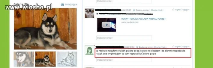 Ortografia