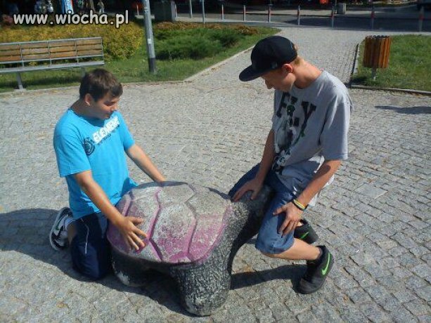 2 kolegów + żółw 