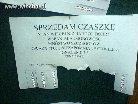 Sprzedam czaszkę...