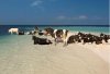 Niektórzy tak zachowują się na plaży