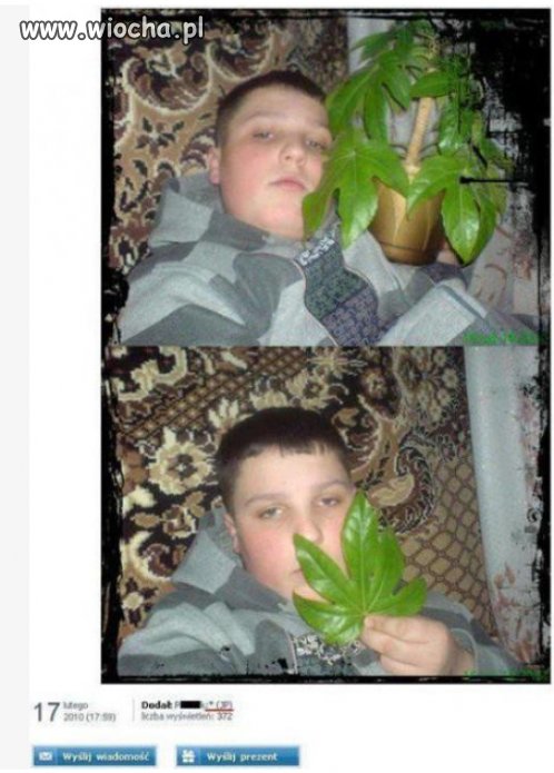 Wiocha NK z roślinką 