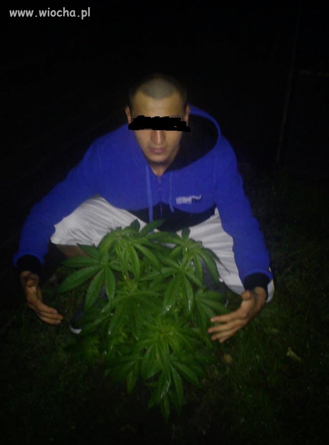 Jest czym się chwalić na fb