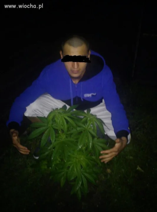 Jest czym się chwalić na fb