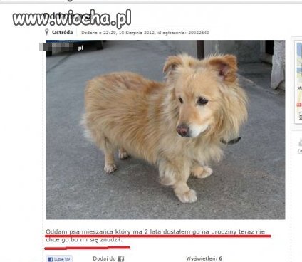 Znalezione Ogłoszenie